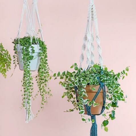 macrame plant hanger workshop Beginner's Macrame Plant Hanger Workshop – Tea & Crafting