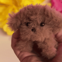 Make THE Most Adorable Litter of Puppies