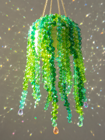 The Viral Beaded Plant Suncatcher