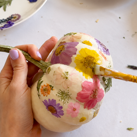 Autumnal Pumpkins in Bloom - Pressed Flower Pumpkin Decorating