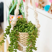 Beginners Macrame Plant Hanger Workshops in Central London. Learn Macrame like a Pro! London's Top Craft School