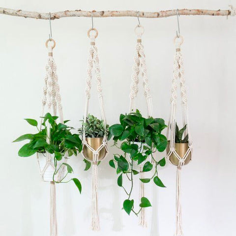 macrame plant hanger class Beginner's Macrame Plant Hanger Workshop – Tea & Crafting